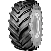 Trelleborg TM1000 Progressive Traction R-1W 600/70 R30 170D