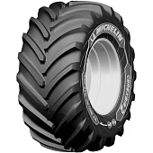 CereXbib 2 CFO +