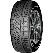 Winter Pro TSS2