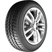 RoadX RXFrost WH01 215/65 R16 98H
